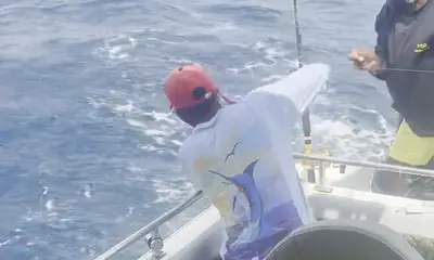 this crew was awesome \ud83e\udd18\ud83c\udffc\ud83e\udd18\ud83c\udffc\ud83e\udd18\ud83c\udffc new how too read the water and get you on fish and very very personable  Highly recomend