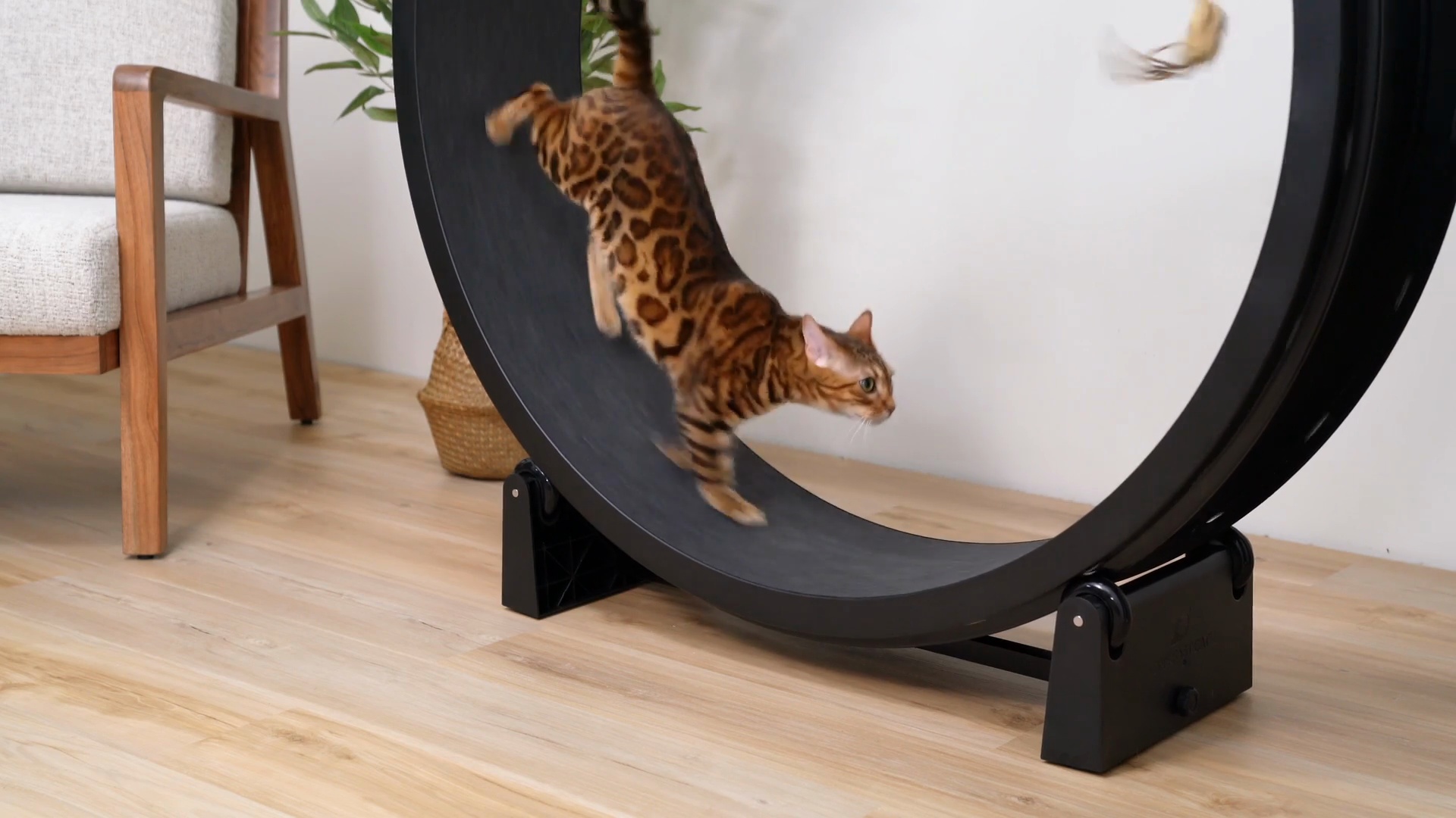 ONE FAST CAT Gen 7 Cat Exercise Wheel, Black with Black Felt ONE FAST CAT Gen 7 Cat Exercise Wheel, Black with Black Felt