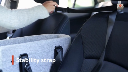 Pawseat Dog Safety Car Booster Seat & Carrier, Small