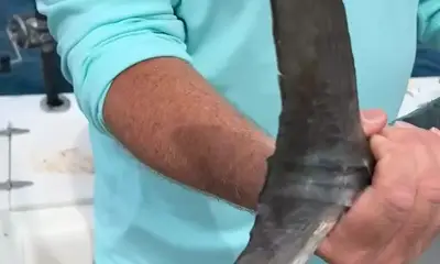 Halifax River Report Video 2