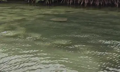 A great day catching fish on the water.