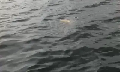 Panama City Beach Report Video 0