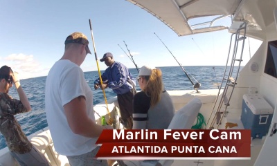 Latest Reviews of Atlantida Punta Cana - Marlin Fever - FishingBooker