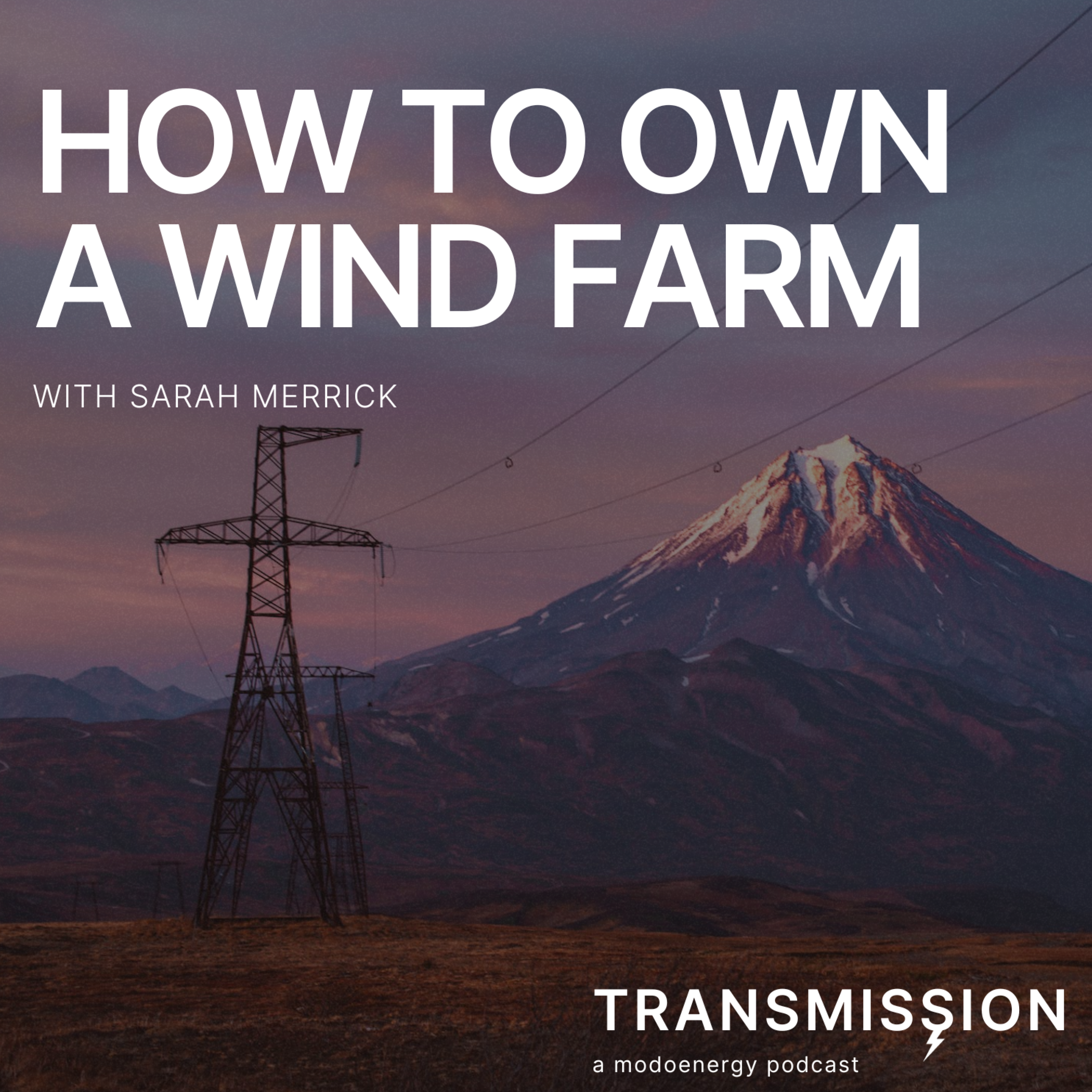 How to own a wind farm with Sarah Merrick (CEO & Founder @ Ripple Energy) - podcast episode cover