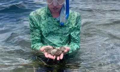 Steinhatchee Report Video 0