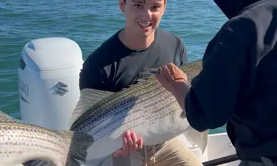 Island Park Report Video 3