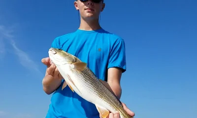 Gulf Shores Report Video 0