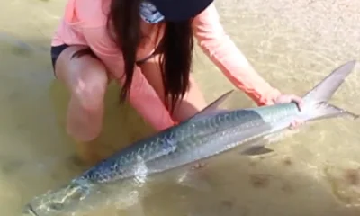 Homestead Report Video 1