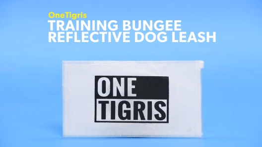 Play Video: Learn More About OneTigris From Our Team of Experts