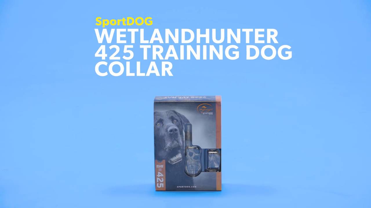 Sportdog wetlandhunter 425 hot sale training dog collar