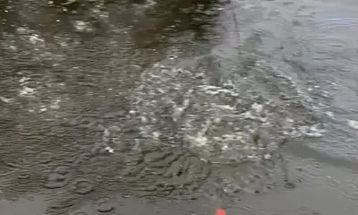 Lake Worth Report Video 0