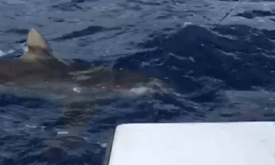 Dania Beach Report Video 0