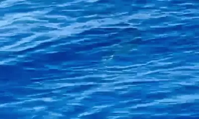 San Jose del Cabo Report Video 2