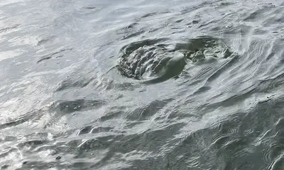 Fun fishing with Shawn this morning!￼