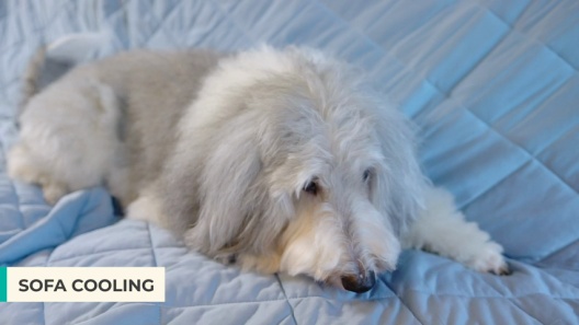PetAmi Soft Cooling Cat & Dog Blanket