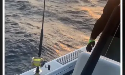 Longport Report Video 0