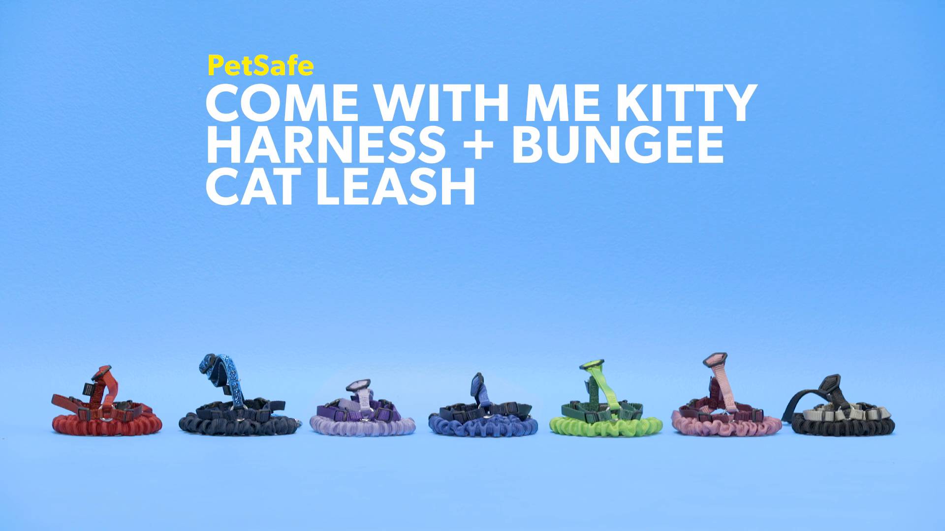 Come with me kitty harness and bungee outlet leash