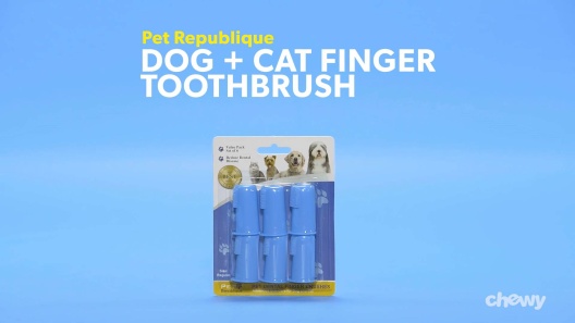 Play Video: Learn More About Pet Republique From Our Team of Experts