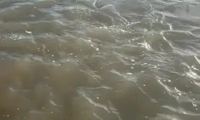 Matagorda Verslag Video 0