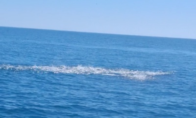 New River Report Video 2