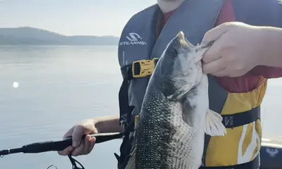 Another great moring on Table Rock