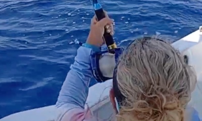 San Jose del Cabo Report Video 0