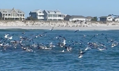 Wrightsville Beach Report Video 0