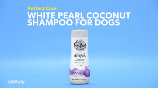 Play Video: Learn More About Perfect Coat From Our Team of Experts