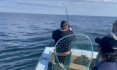 Kittery Report Video 0