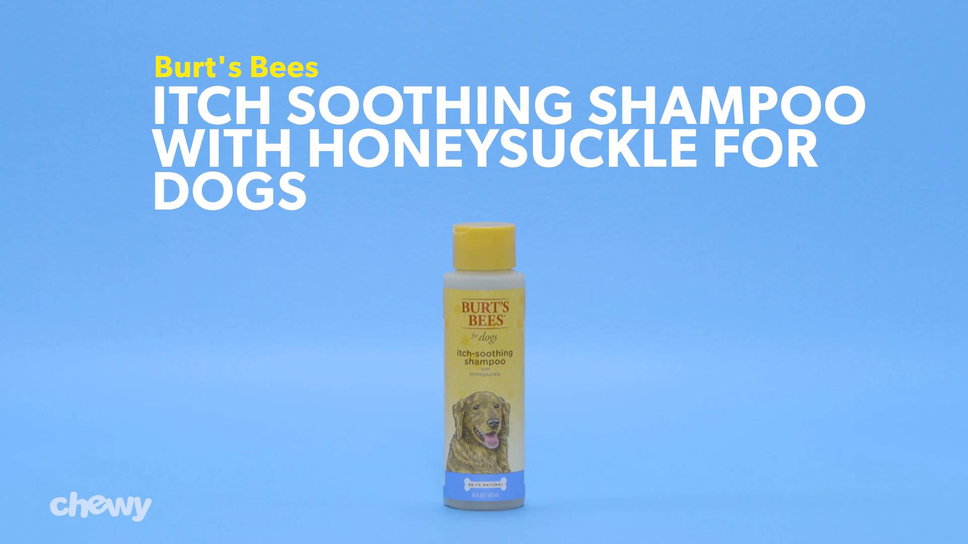 Burt's bees itch top soothing dog shampoo