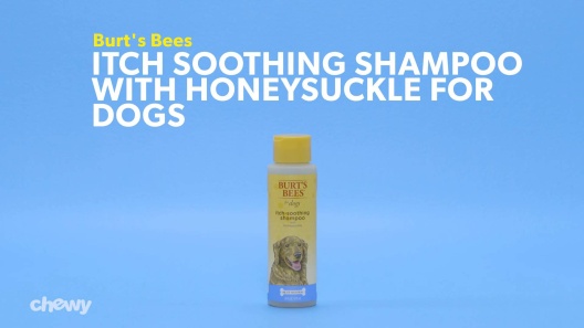 Play Video: Learn More About Burt's Bees From Our Team of Experts
