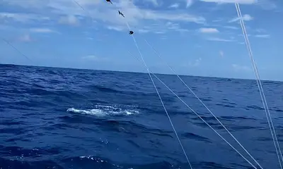Rapport vidéo San Juan 0