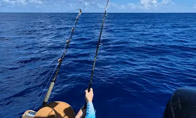 Moorea Report Video 1