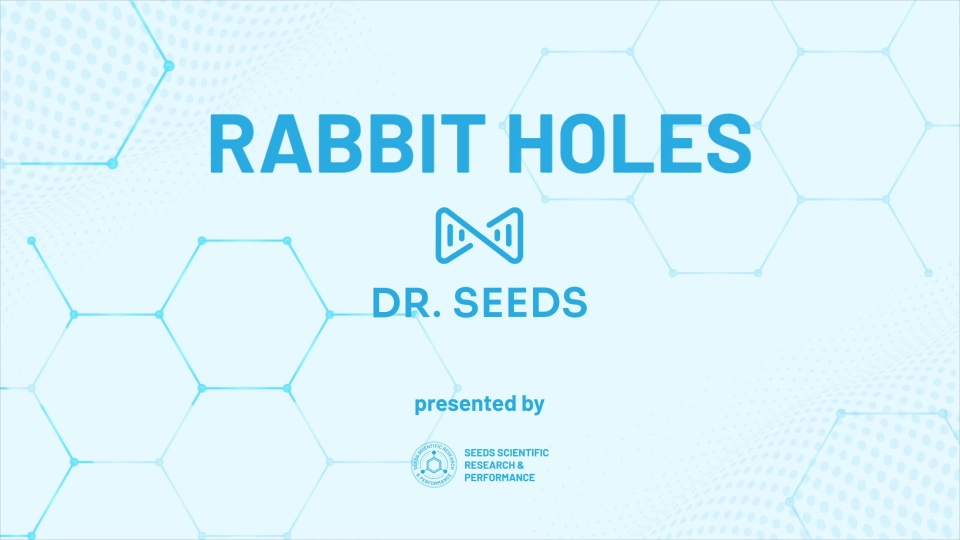 Rabbit Holes – May 2025