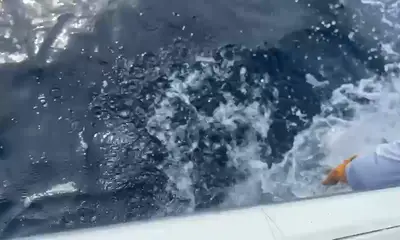 Quepos Report Video 2