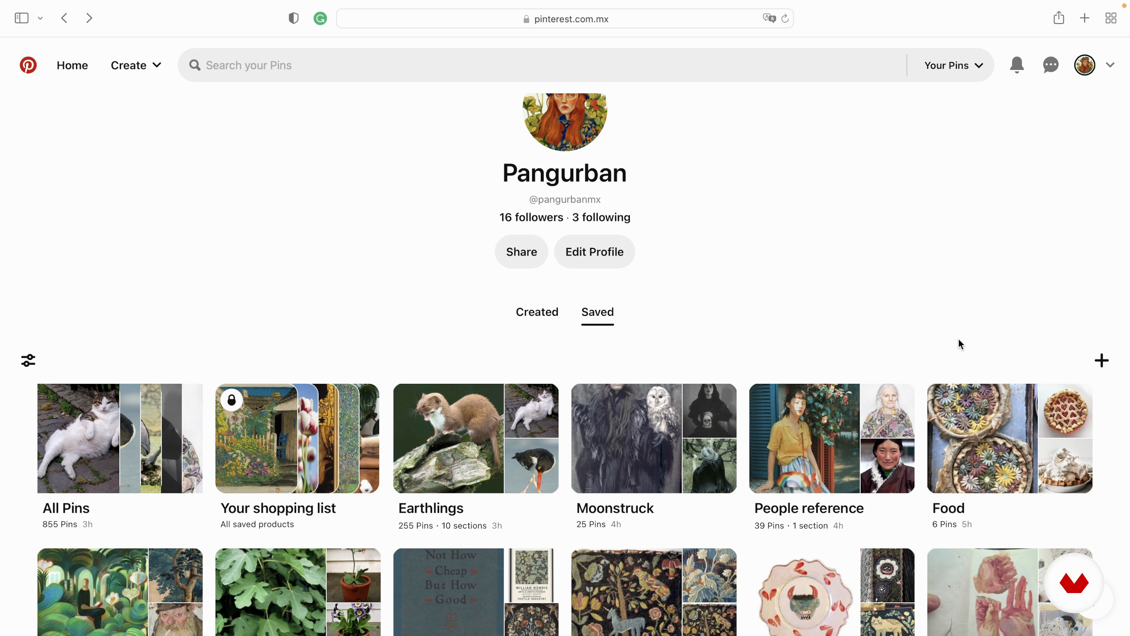 Referencias y creación del mood board o página de referencias