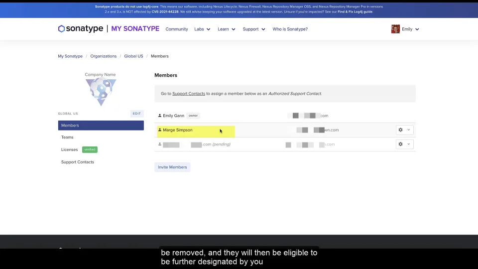 My Sonatype  Customer Platform