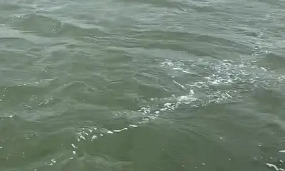 Corpus Christi Report Video 0