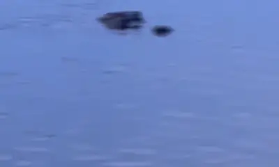 25 fish caught in four hours!!!