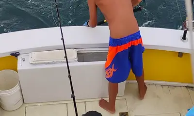 Wanchese Report Video 0
