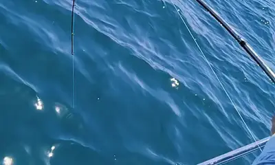 Puerto Vallarta Report Video 2