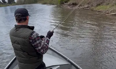Eugene Report Video 1