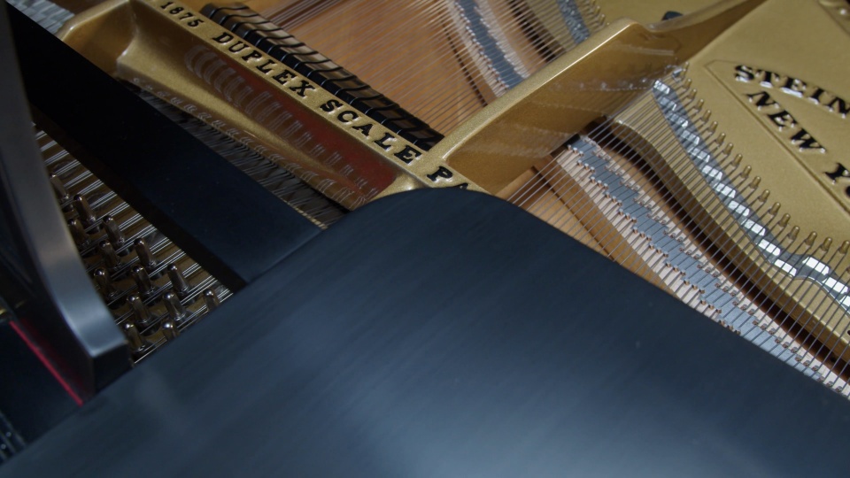 1910 Steinway Grand D