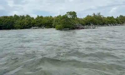 Fun day out in the Keys
