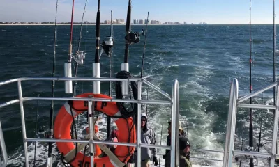 Orange Beach Bericht Video 0