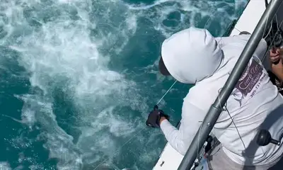 Key West Report Video 0