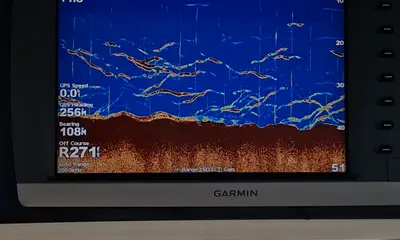 Dana Point Report Video 2