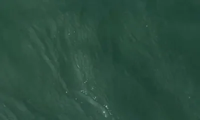 Poquoson Verslag Video 2