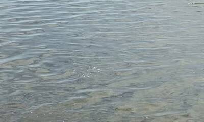 Key Largo Report Video 1