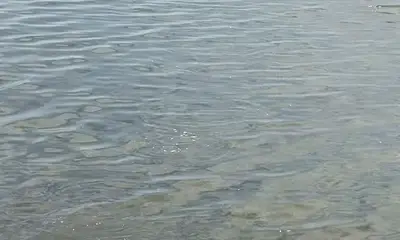 Key Largo Report Video 0